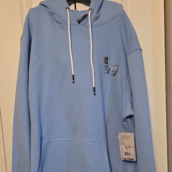 Light Blue Hoodie with Embroidered Design - Picture 1 of 7